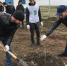 Международная акция «Сад памяти» - Город Сунжа
