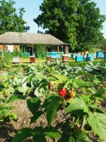 Стать лучшим