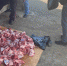 В Сунже прошла благотворительная акция по раздаче продуктовой помощи в виде мяса крупного рогатого скота - Город Сунжа