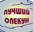 Социальный отдел администрации Сунженского района запускает проект «Опекун года-2022» - Cунженский район