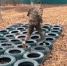 В Мужичи проходит молодежный  военно-патриотический сбор - Газета Знамя труда