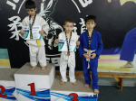 Юные спортсмены Троицкого ФОКа стали призерами межрегионального турнира