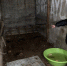 Дело буренок раскрыто - Газета Знамя труда